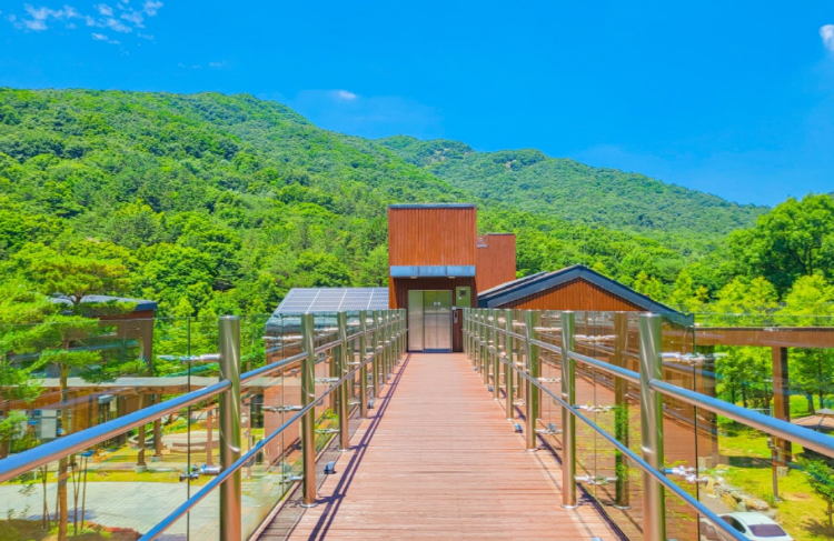 국립대전숲체원