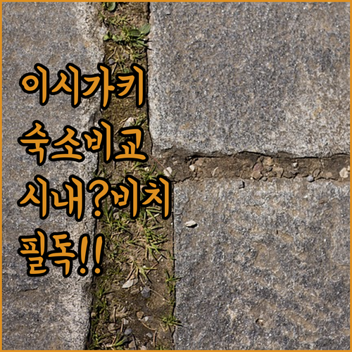 이시가키 여행 숙소 선택 가이드 시내..