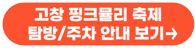 가을 축제 가볼만한 곳