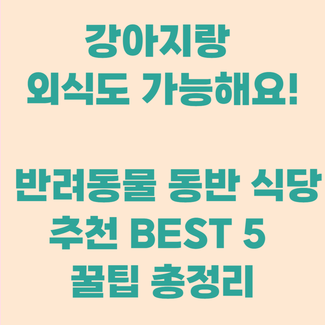 반려동물 식당 추천 5곳|이젠 우리 아이와도 외식하는 시대!