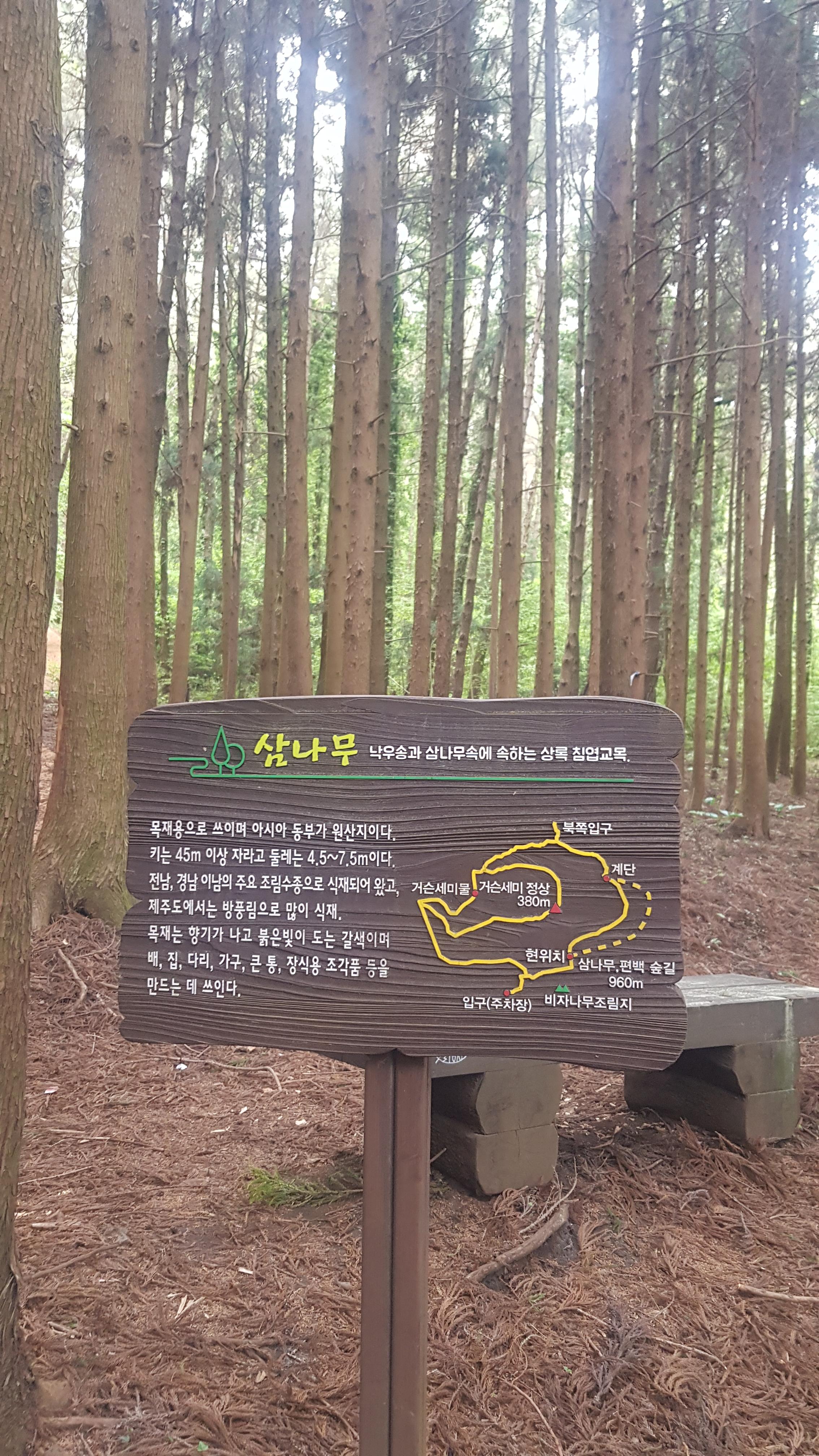 제주도 거슨새미오름 &ndash; 숨겨진 자연의 보물!