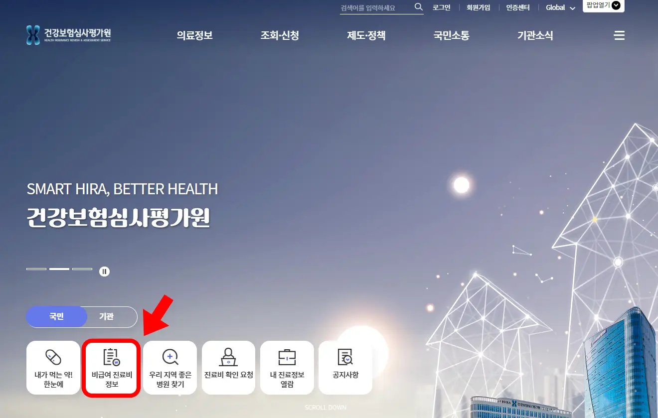 건강보험심사평가원 사이트 화면 사진
