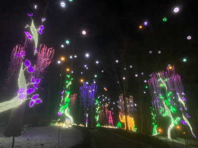 가평 아침고요수목원 빛축제 가족여행 후기