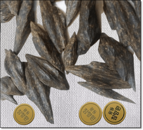 침향과 광동침향환