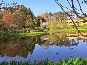 천리포 수목원 목련축제 입장료 여행코스_3