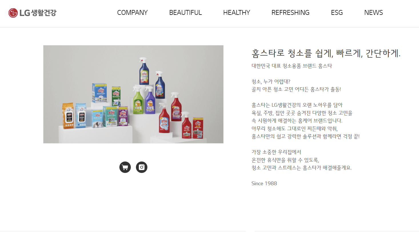 홈스타 세탁조 클리너