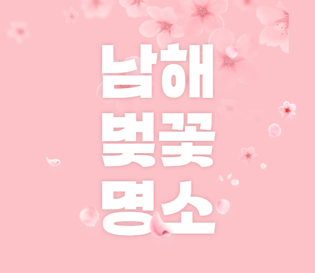 남해 벚꽃 명소