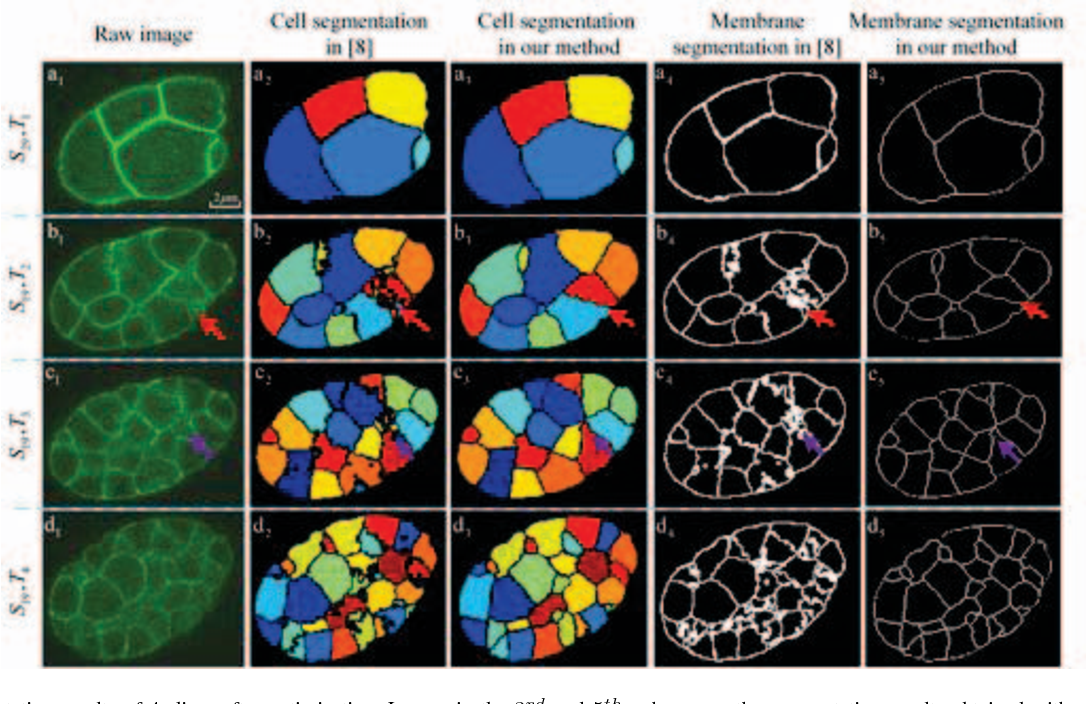 4월 3주차 - 3. Whole-cell segmentation of tissue images with human-level performance using large-scale data annotation and deep learning | Nature Biotechnology 4월 3주차 - 3. Whole-cell segmentation of tissue images with human-level performance using large-scale data annotation and deep learning | Nature Biotechnology