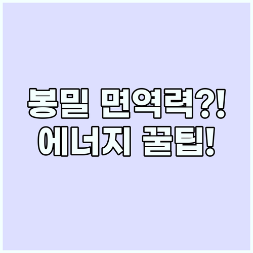 봉밀 효능 면역력 강화와 에너지 보충..