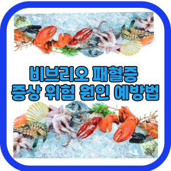 비브리오 패혈증 증상 위험 원인 예방법