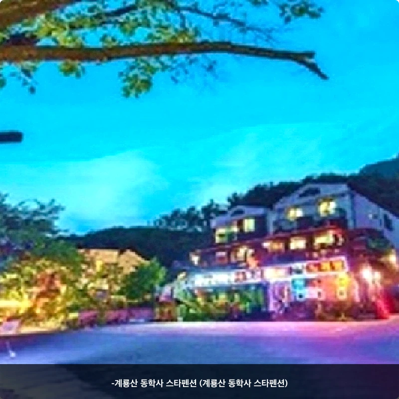 -계룡산 동학사 스타펜션 (계룡산 동학사 스타펜션)_1
