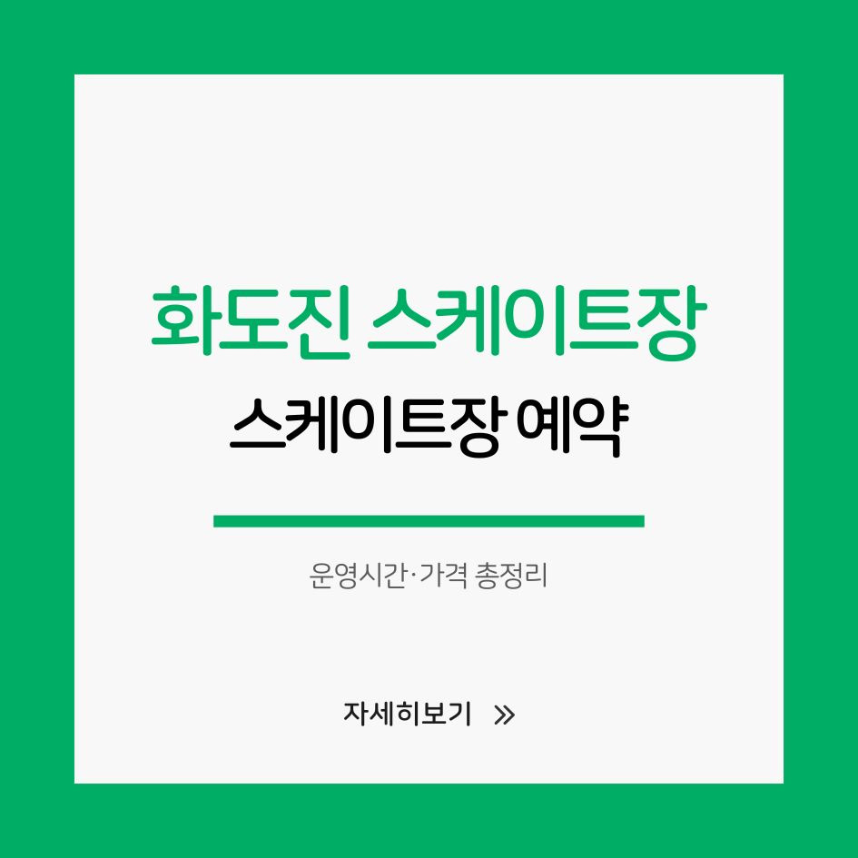 인천 화도진 스케이트장 전경 이미지