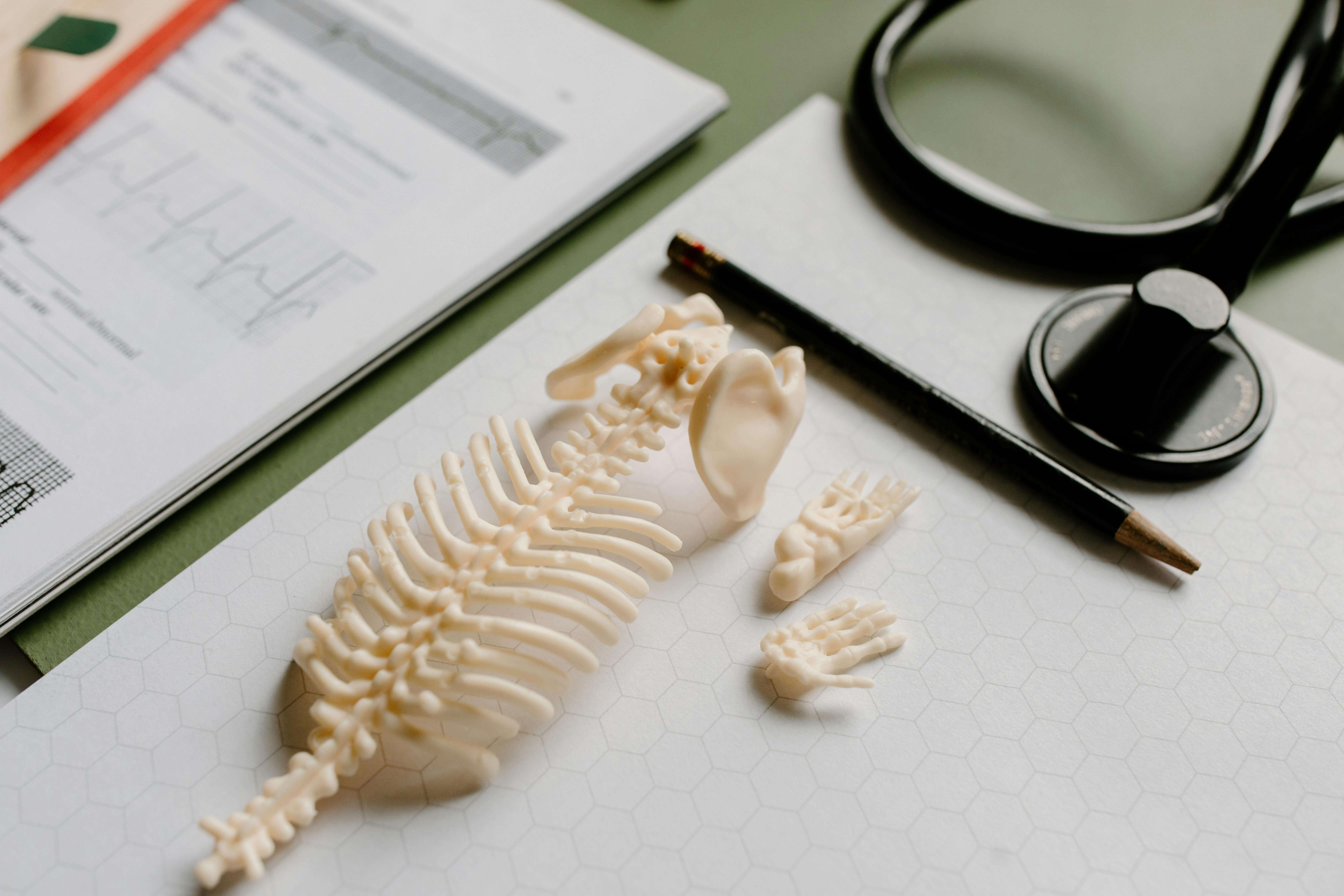 직장암-완치-가능성에-대한-이미지