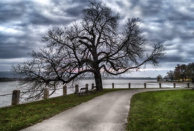 디지털 유언장: 죽은 뒤에도 남는 내 온라인 자산, 누가 관리해줄까?