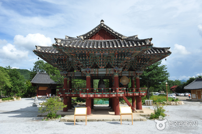완주 송광사 연꽃