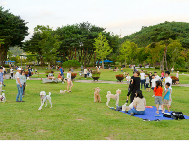 반려견놀이터소개3