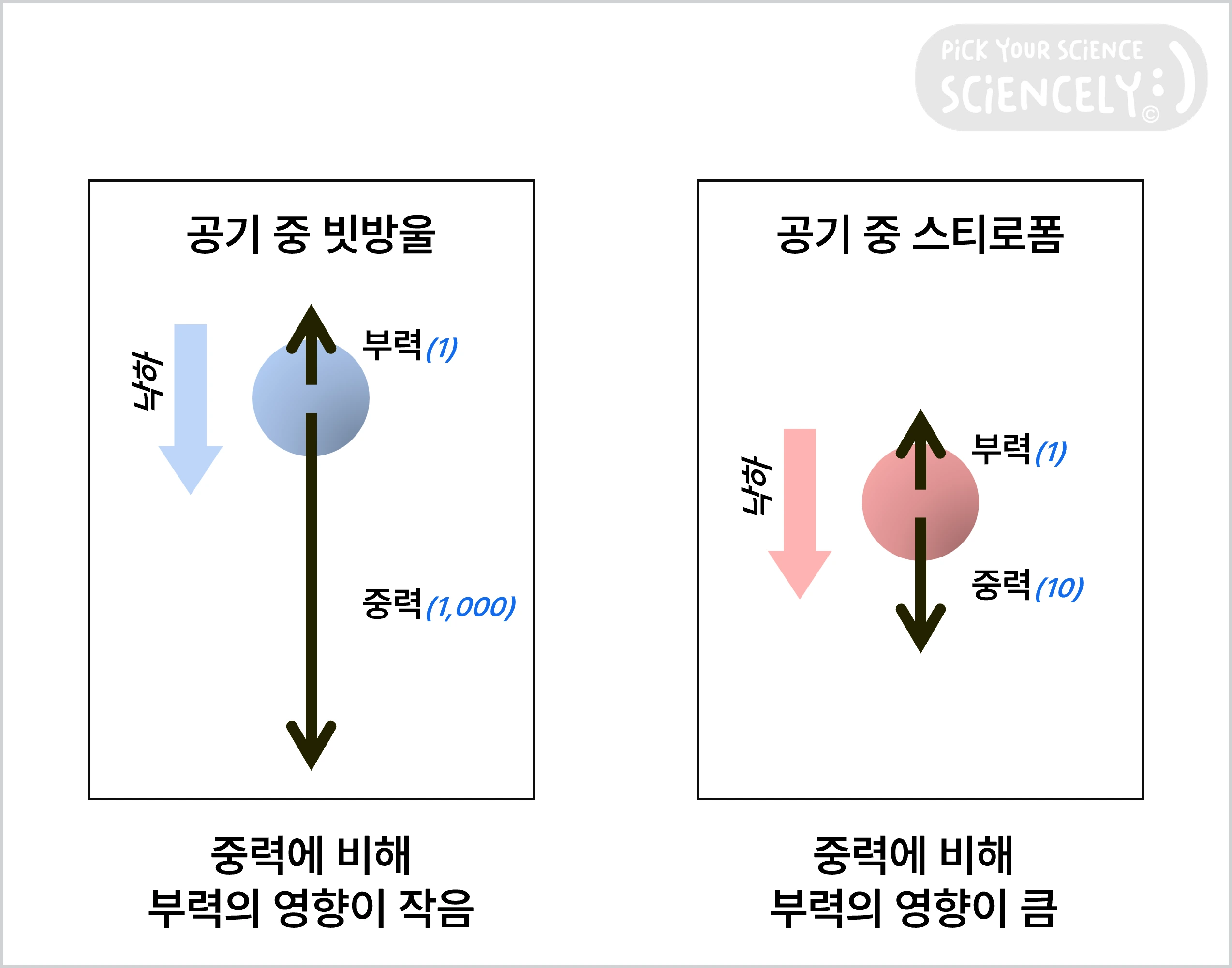 공기 중의 빗방울, 공기 중의 스티로폼, 부력이 낙하 운동에 영향을 미치는 정도, 물체의 낙하 속도