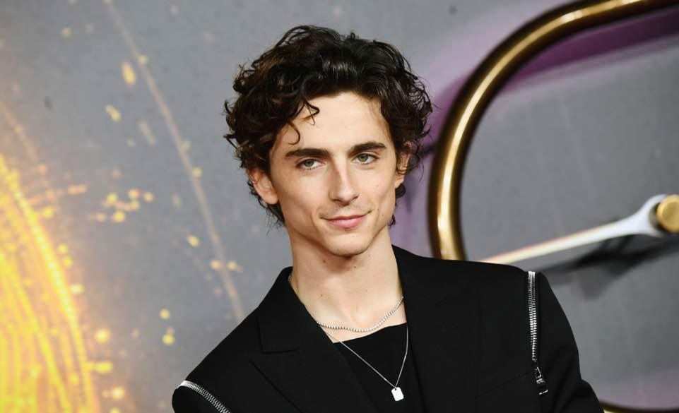 듄 티모시 샬라메