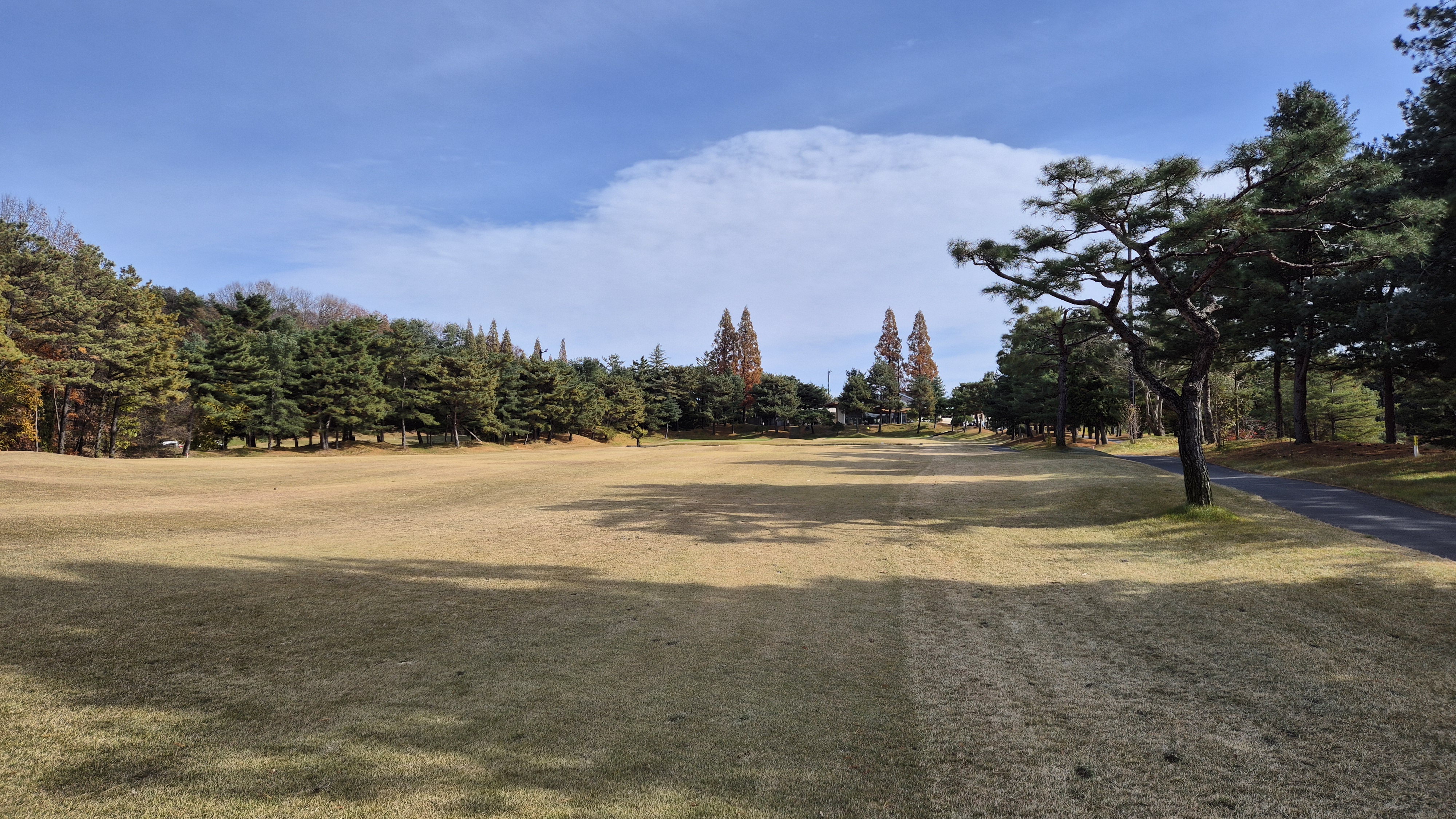 세종에머슨cc 마운틴코스 사진 및 공략 정보