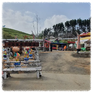 자연 속 동물 친구들과 함께 노는 시간! 대관령주주파크