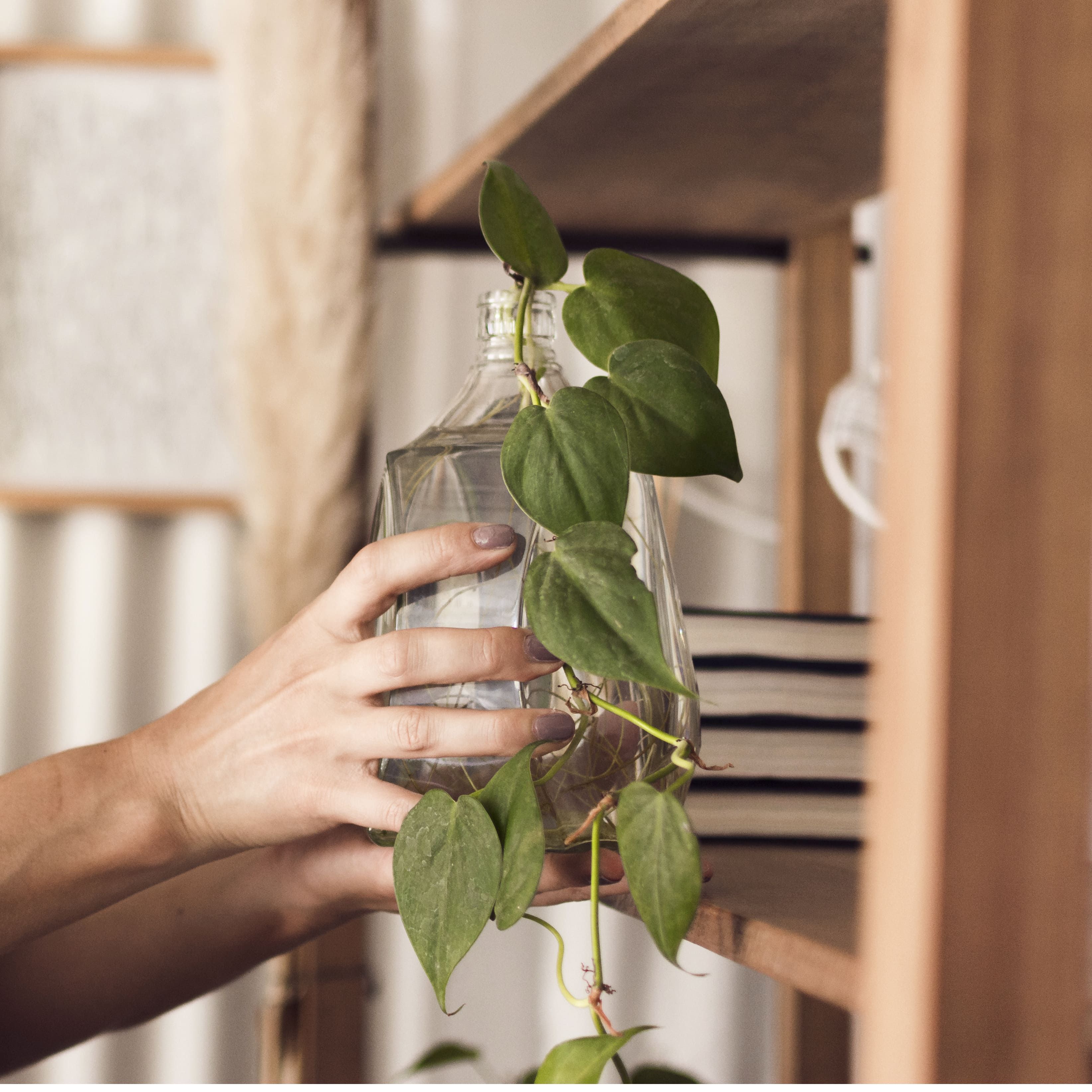 [농업]작은 공간에서도 가능한 PET병 미니 정원 만들기