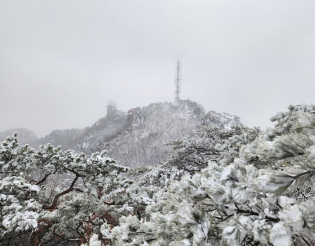 관악산정상전경