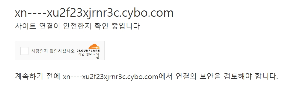 정보 확인 전 로봇이 아님을 증명하는 보안 확인 절차