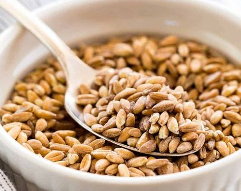 파로 곡물(사진 : Pinterest)