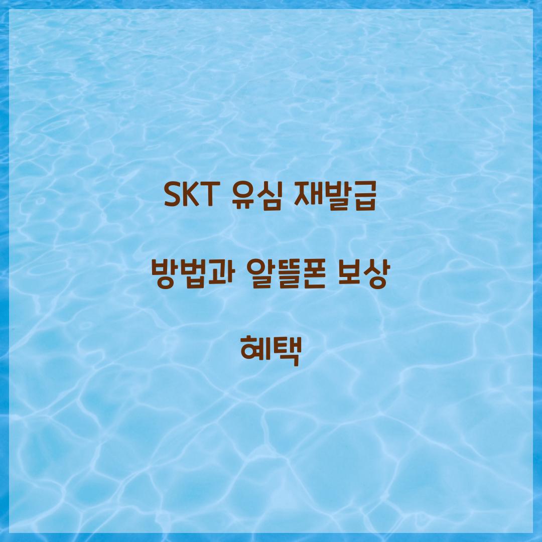 SKT 유심 재발급