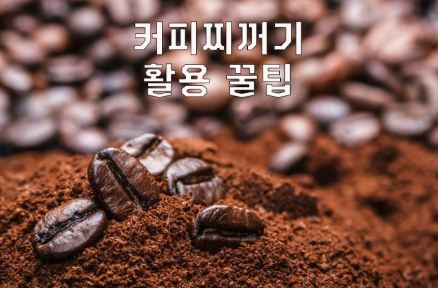 커피 찌꺼기 활용