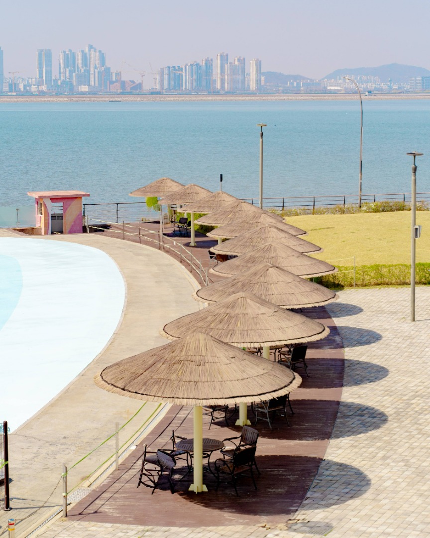 시흥 배곧한울공원 피크닉