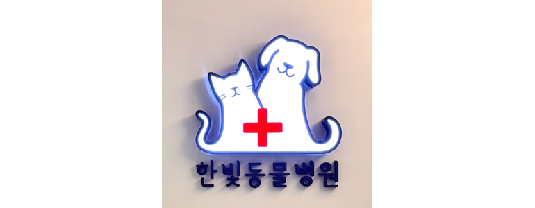 파주시 동물병원