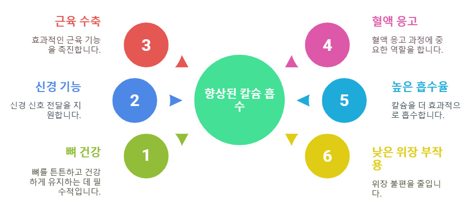 구연산 칼슘의 건강