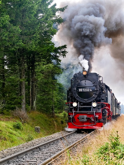  KTX 유아할인