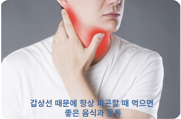 갑상선 때문에 항상 피곤할 때 먹으면 좋은 음식과 운동