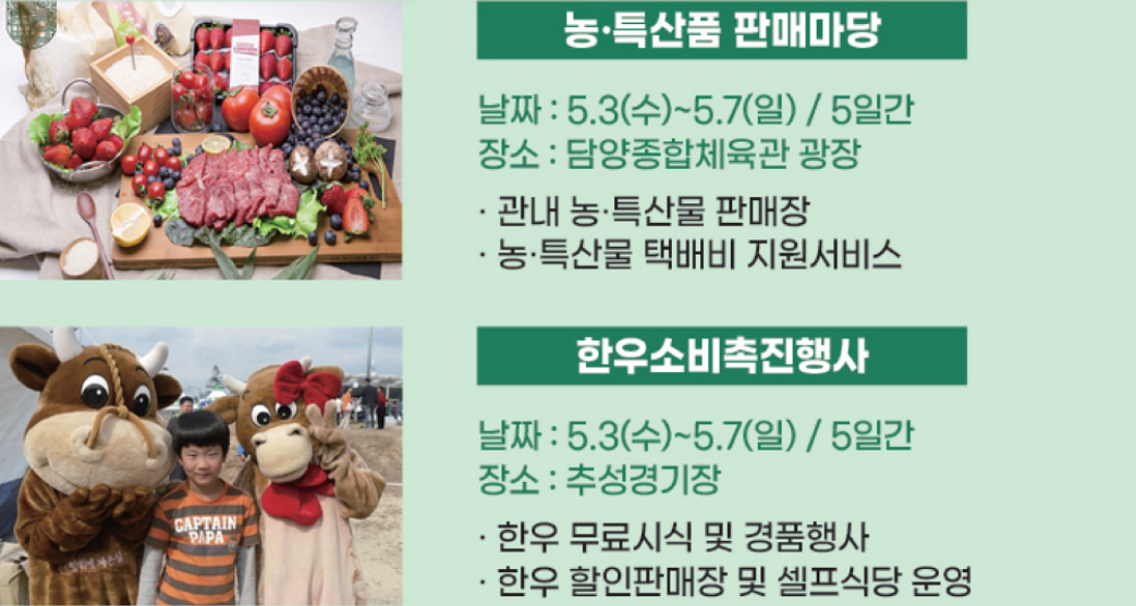 담양대나무 축제