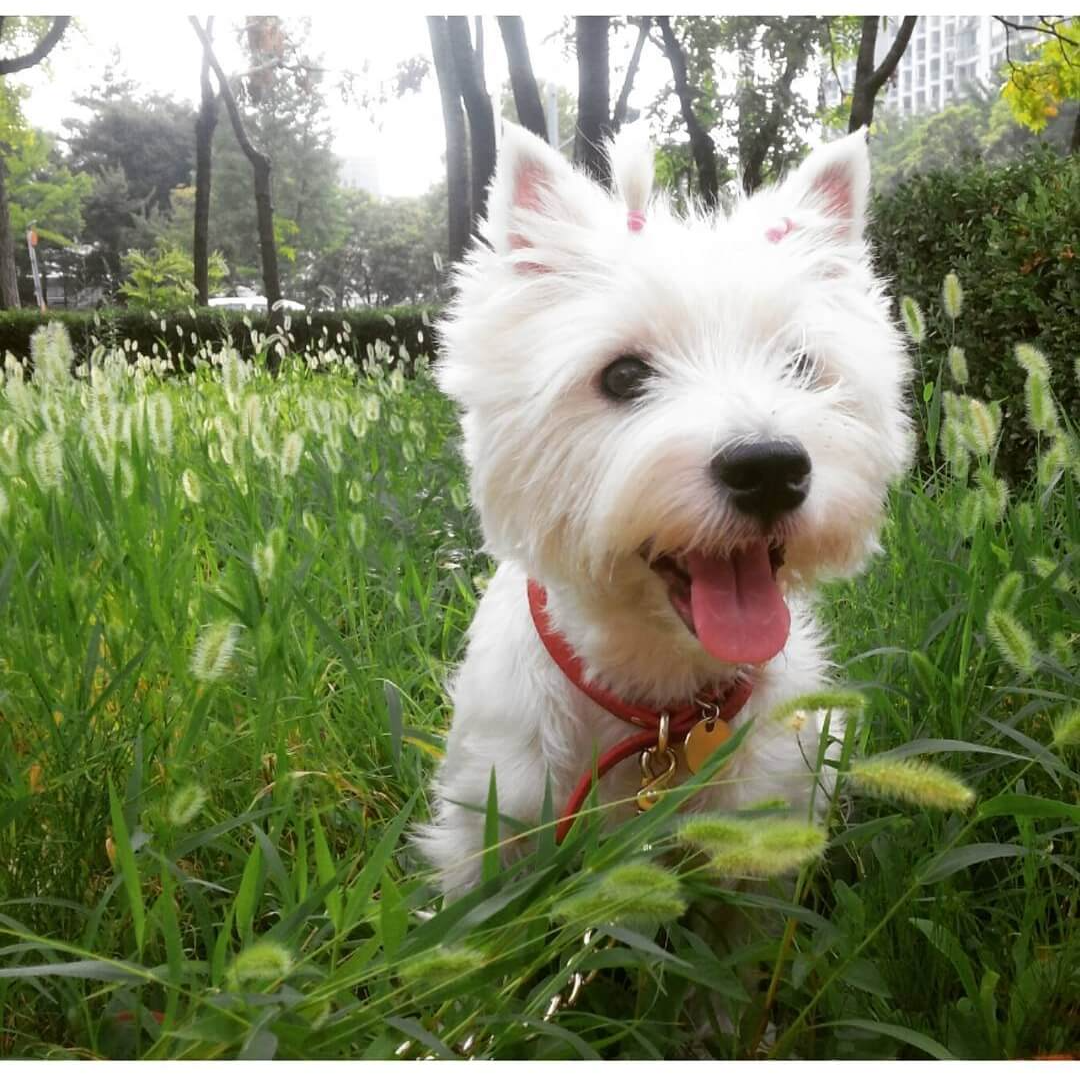 카카오 택배 집에서 보내기