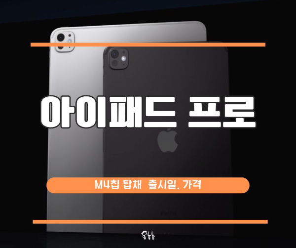 아이패드 프로