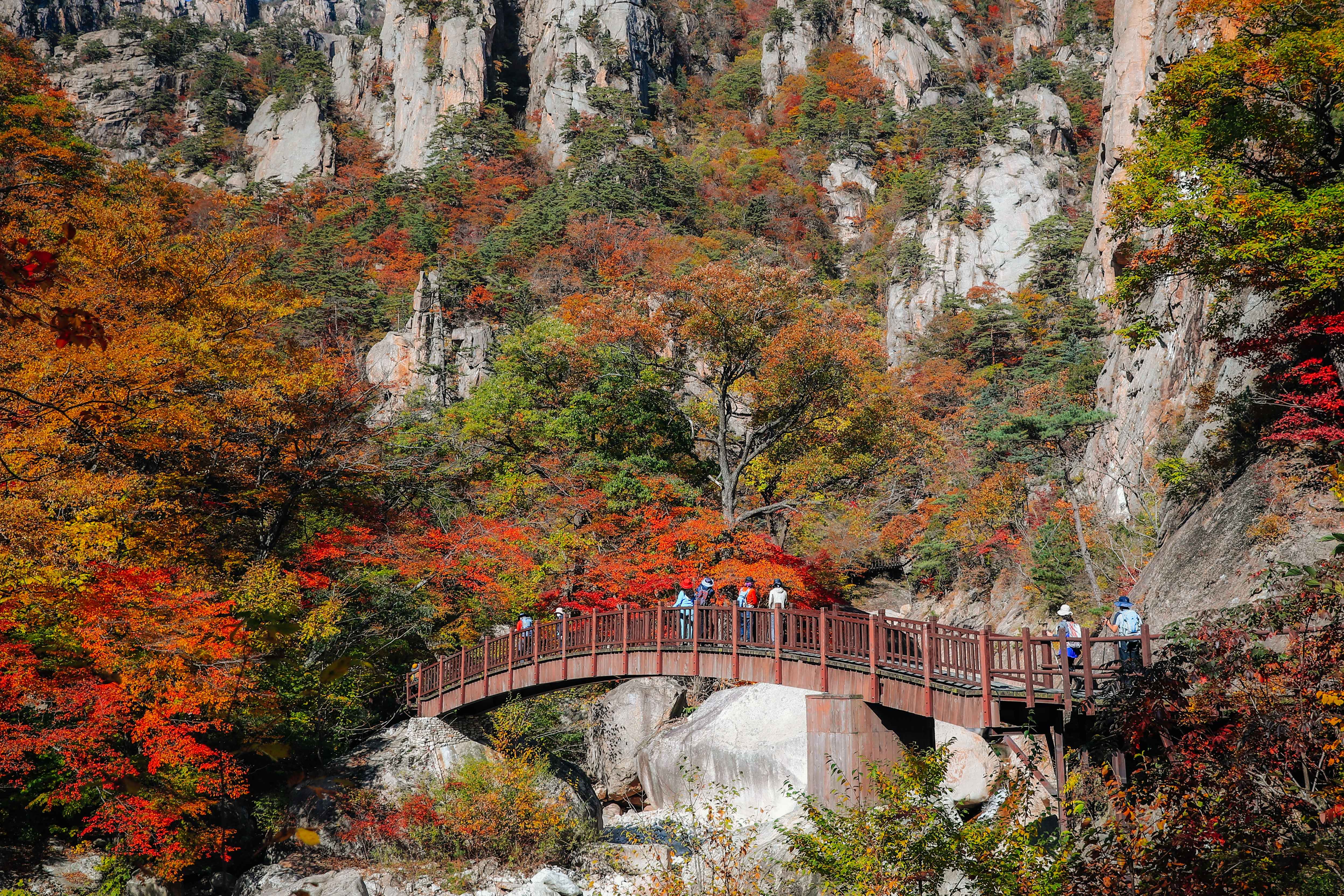 속초-가볼만한곳-추천-설악산-국립공원