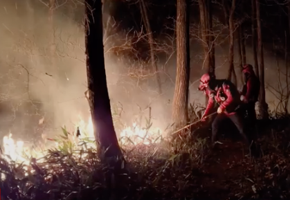 강원도 양양 산불