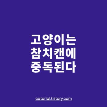 고양이 참치캔