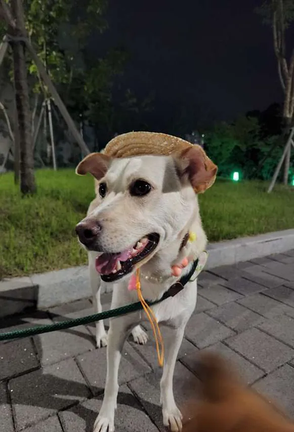 새마을운동 테마공원
