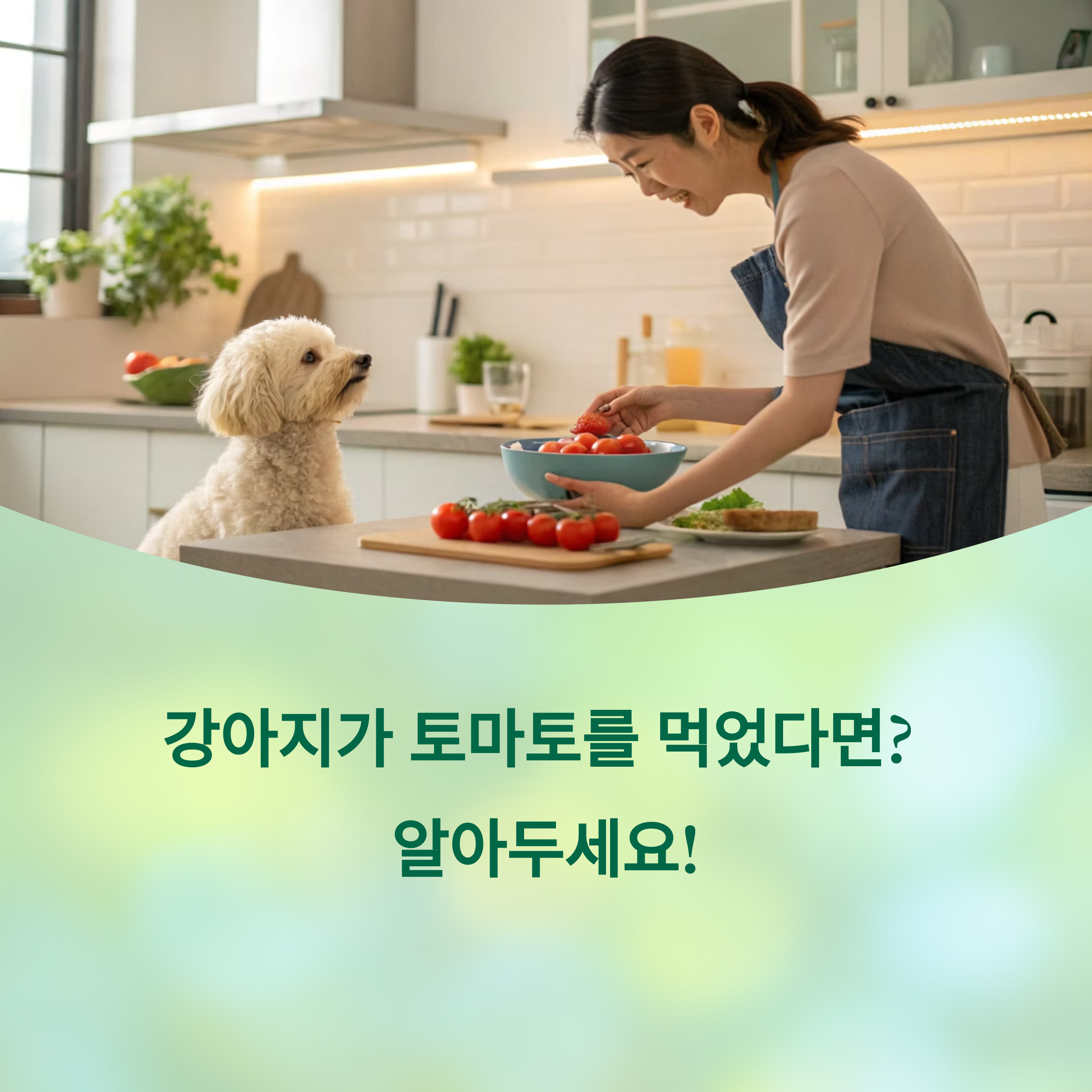 강아지가 토마토를 먹었어요