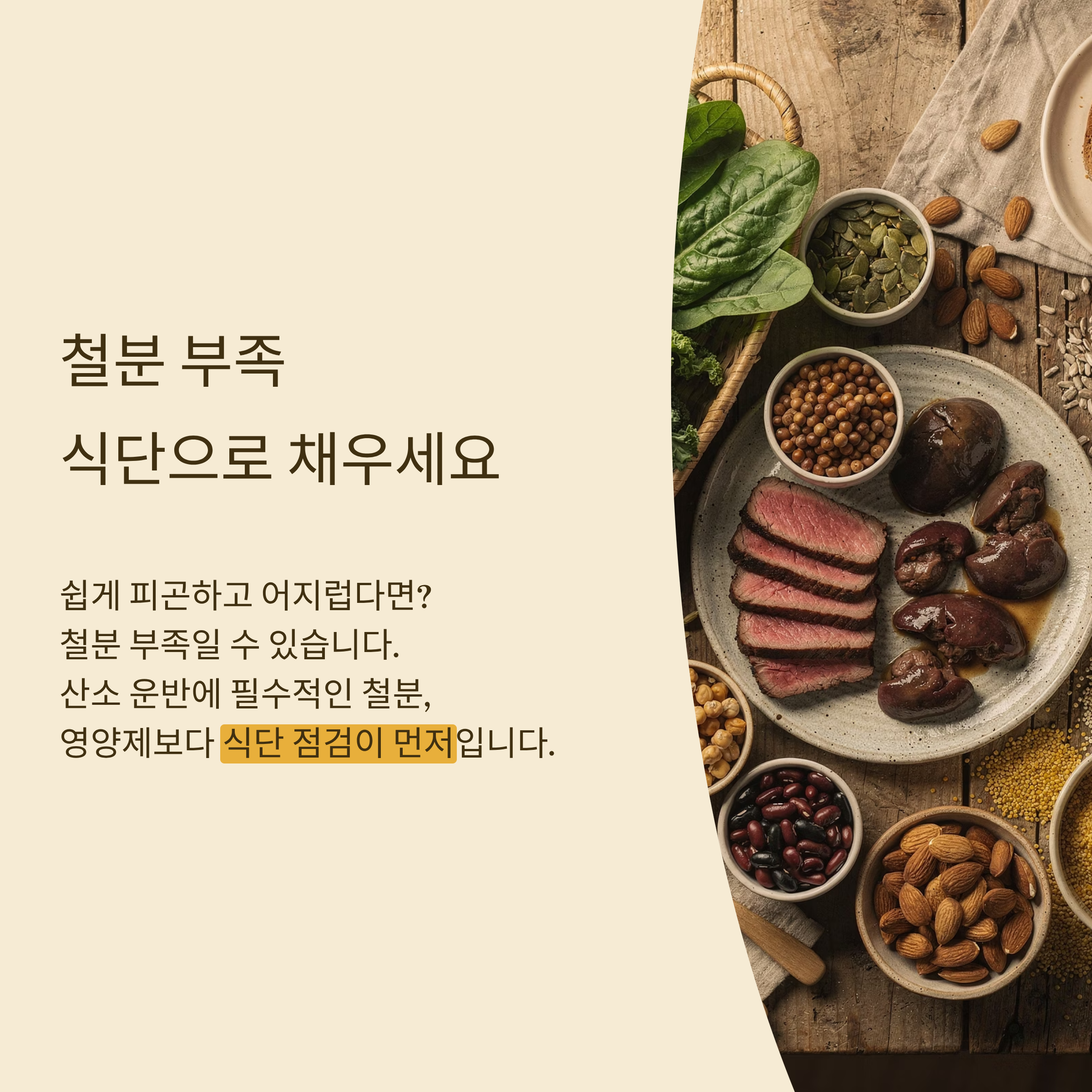 철분 많은 음식 식단 관리