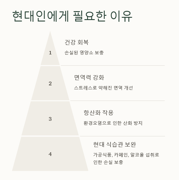 차가버섯이 필요한 이유