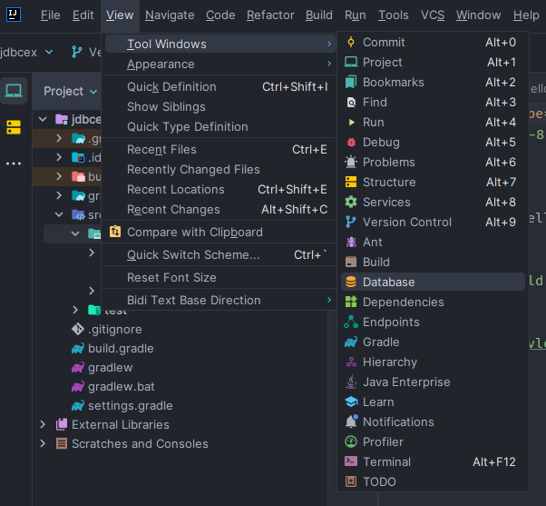 [MariaDB] IntelliJ에서 Gradle 프로젝트 생성하고 MariaDB 연결하기