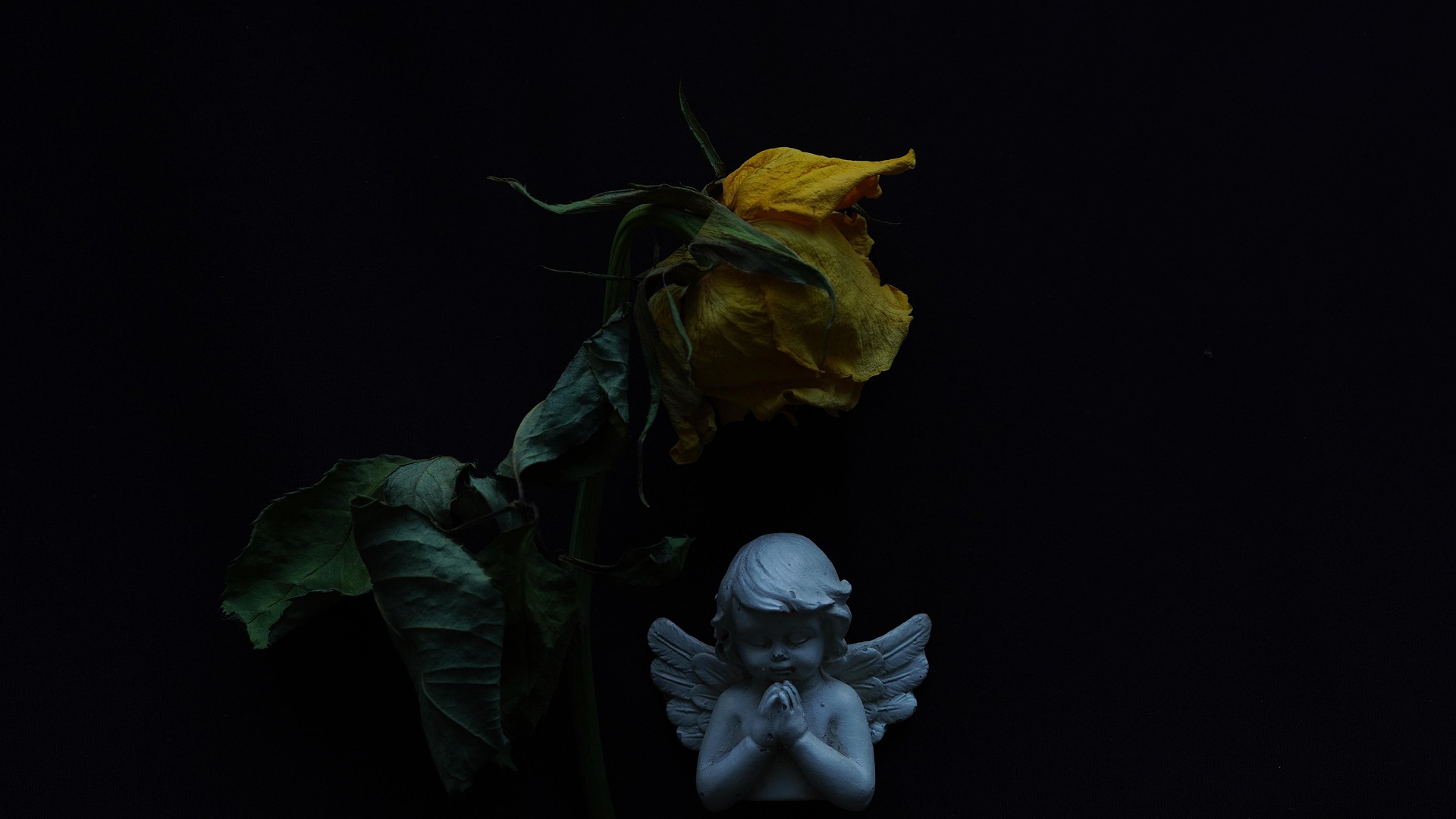 부의금 봉투 쓰는 법