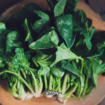 마그네슘이 풍부한 음식 