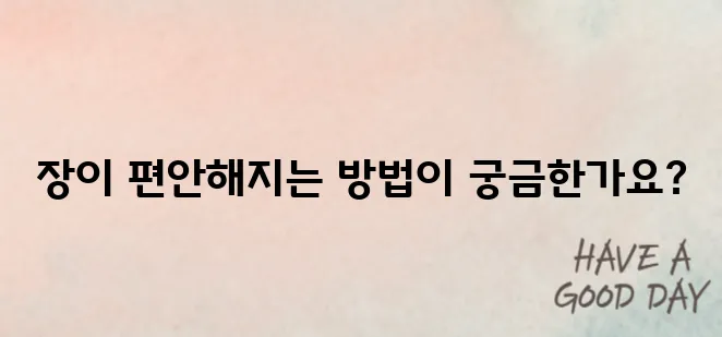 장이 편안해지는 영양제 추천 TOP5