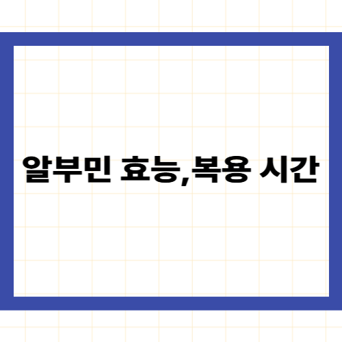 알부민 효능,복용 시간—의학적으로 검증된 5가지 역할과 가장 효과적인 복용 시간